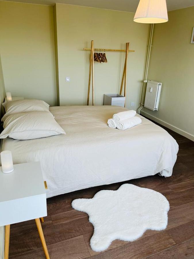 سانت إتيان Espace 500 - Cosy, Wifi & Vue Sur La Ville المظهر الخارجي الصورة